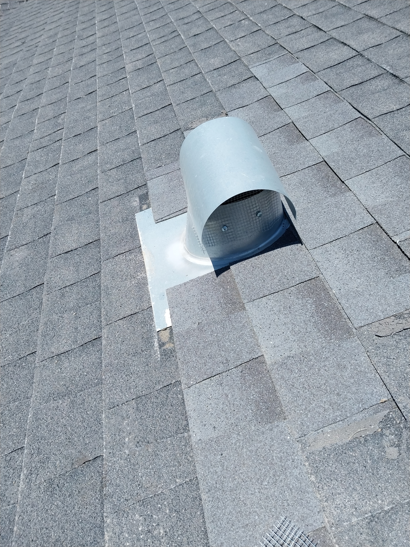 Sealed crawlspace vent and rooftop pipe penetrations protected against rodent entry